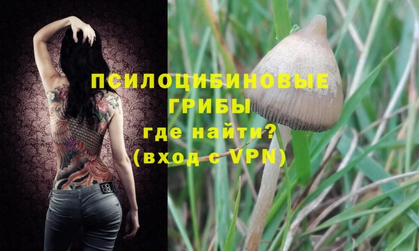 apvp Осинники