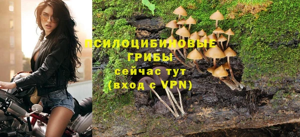 кокс Осташков