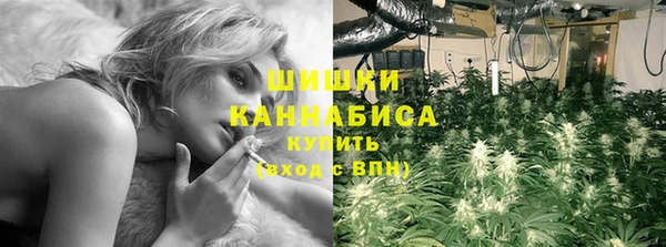 apvp Осинники