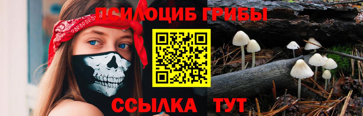 Абинск  МЕТАМФЕТАМИН  Вход с VPN  ГАШИШ  Меф   Мефедрон  Гашиш  МАРИХУАНА  Кокаин 